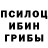 Псилоцибиновые грибы Psilocybine cubensis andrew klaksovich