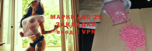 стафф Богданович