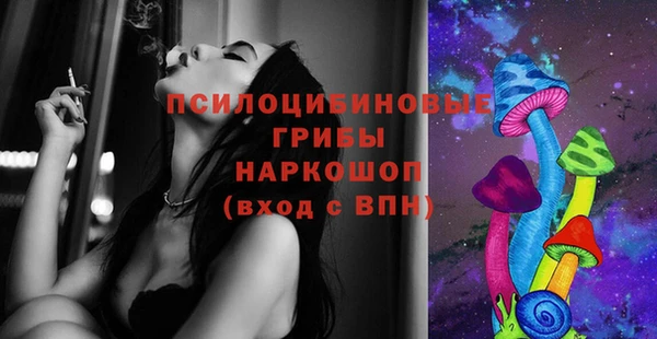 соль ск Бронницы