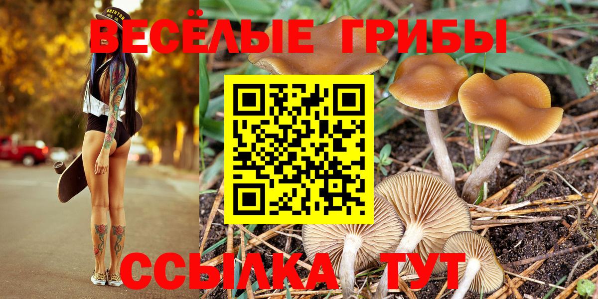 Галлюциногенные грибы GOLDEN TEACHER Пыть-Ях